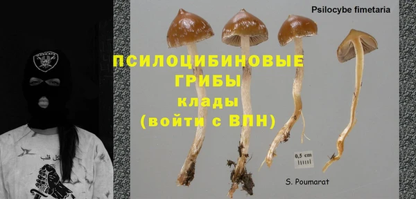 PSILOCYBIN Балахна