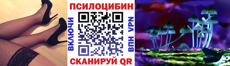 Псилоцибиновые грибы Cubensis  Купить закладки  Сысерть 
